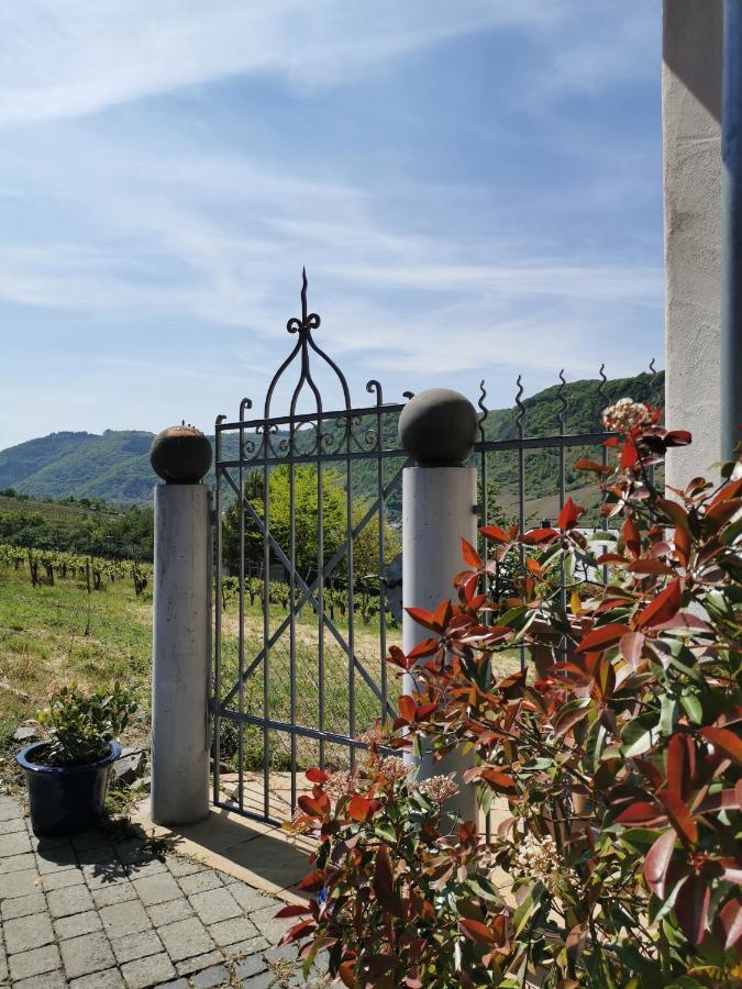 Apartmán Weingut Amlinger&Sohn Neef Exteriér fotografie